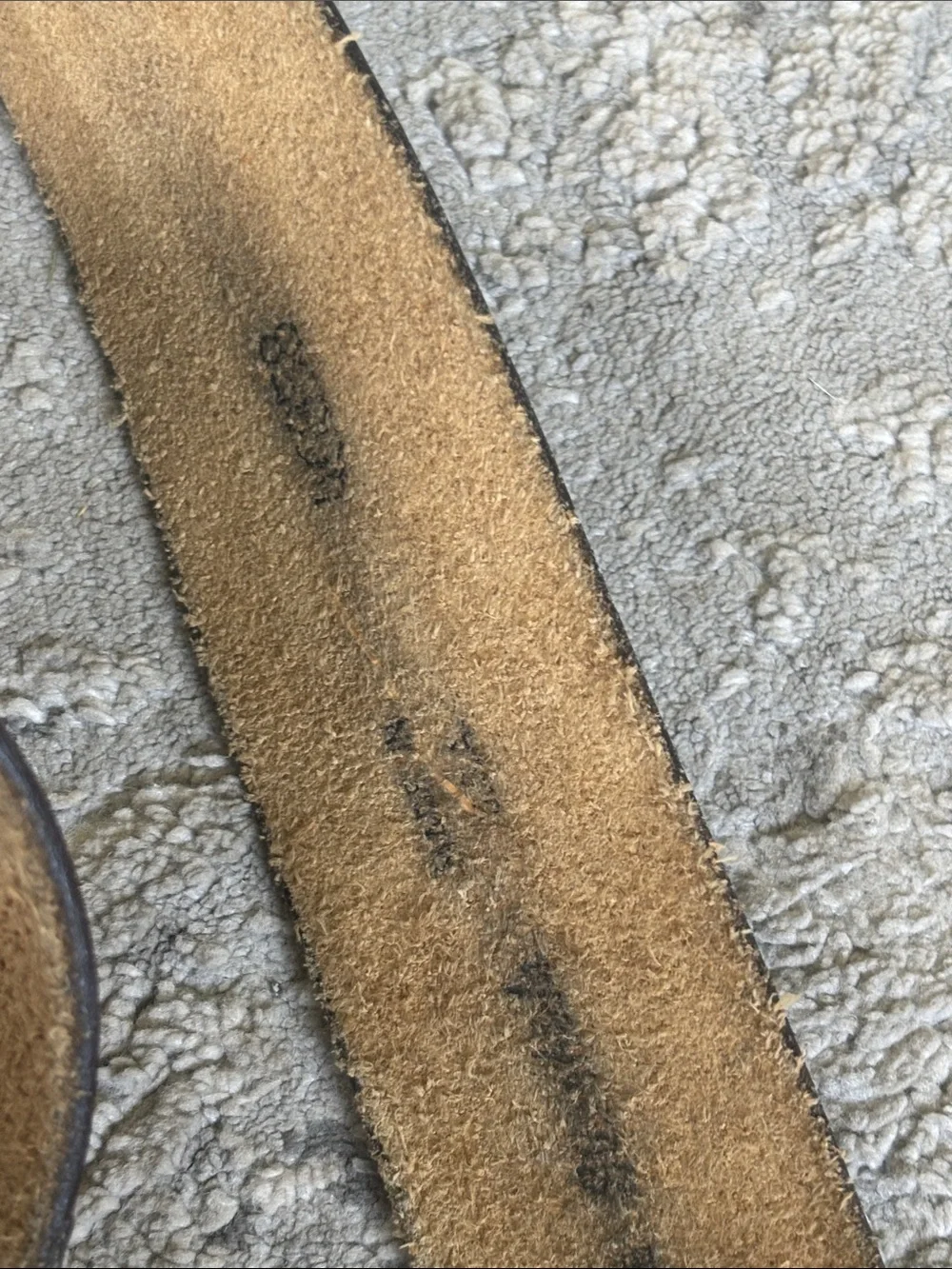 Disney durable brown